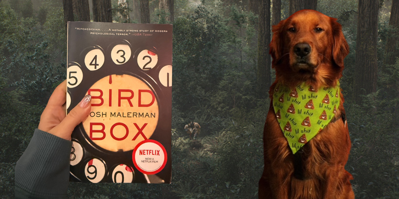 Birdbox by Josh Malerman