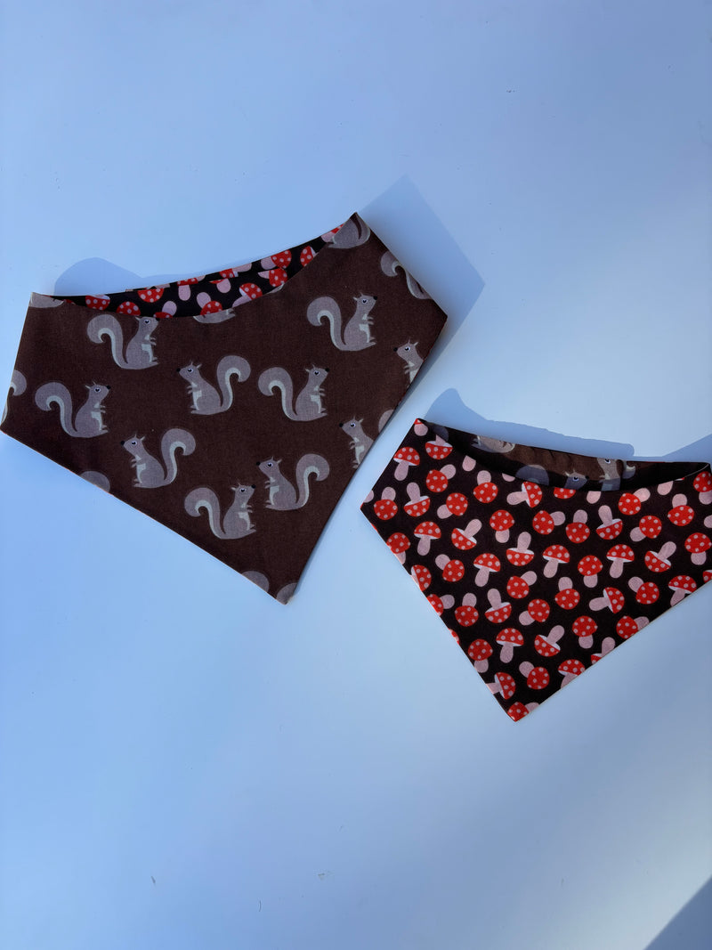 Nutty Squirrels Bandana