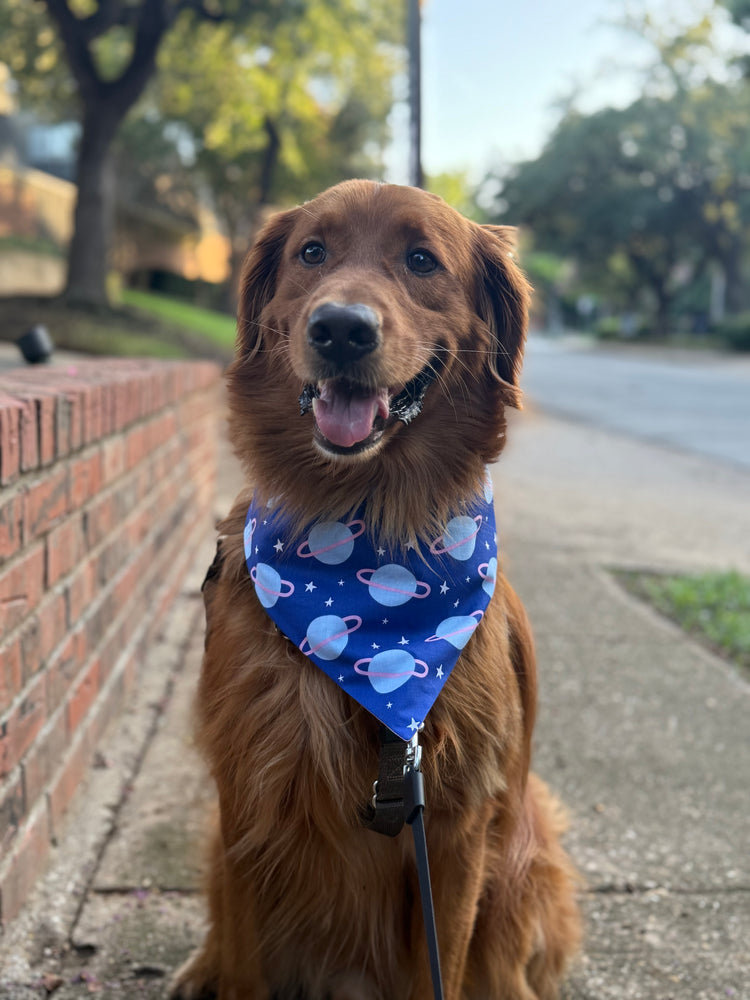 Area 51 Bandana