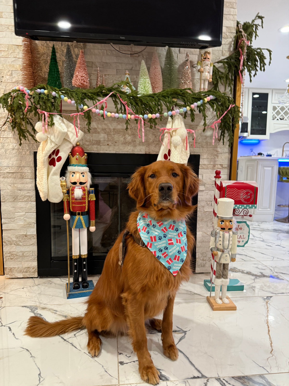 Present Inspector Bandana