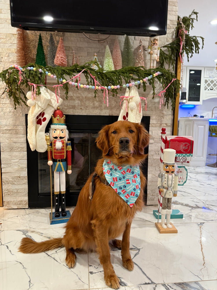 Present Inspector Bandana