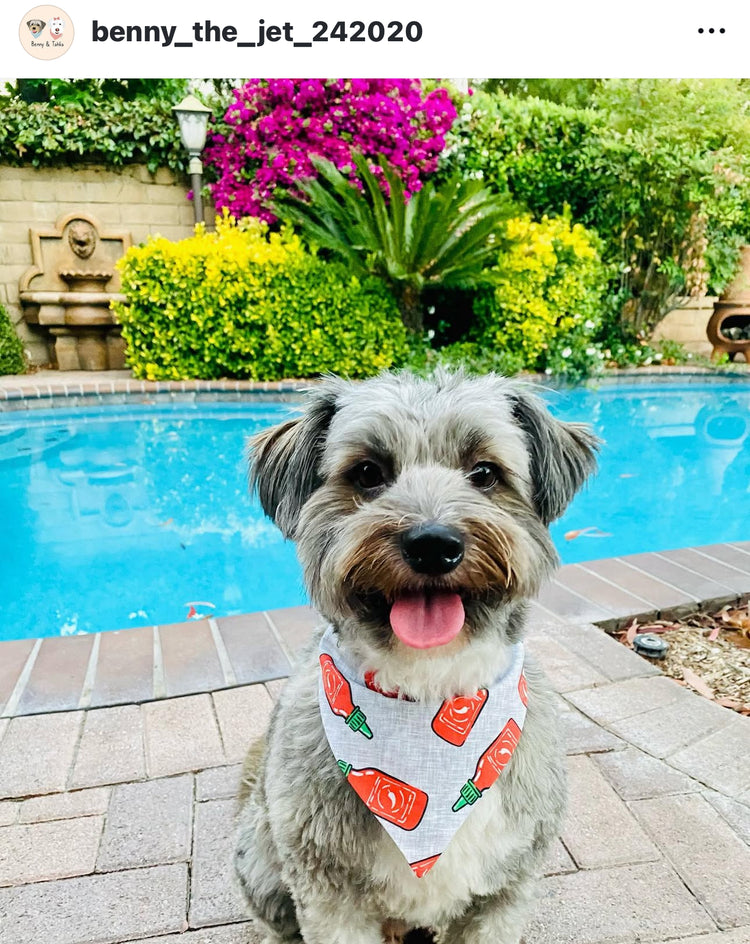 Siracha Bandana