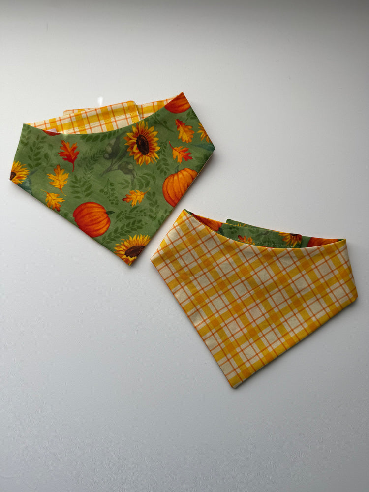 Fall Pumpkin Patch Bandana
