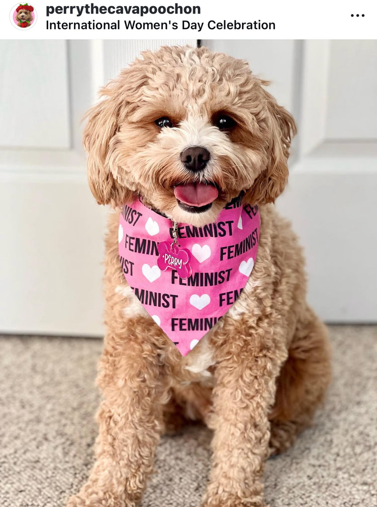 Feminist Bandana