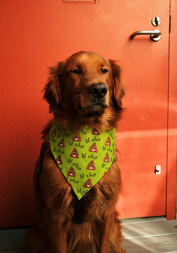 Lil Shit Bandana