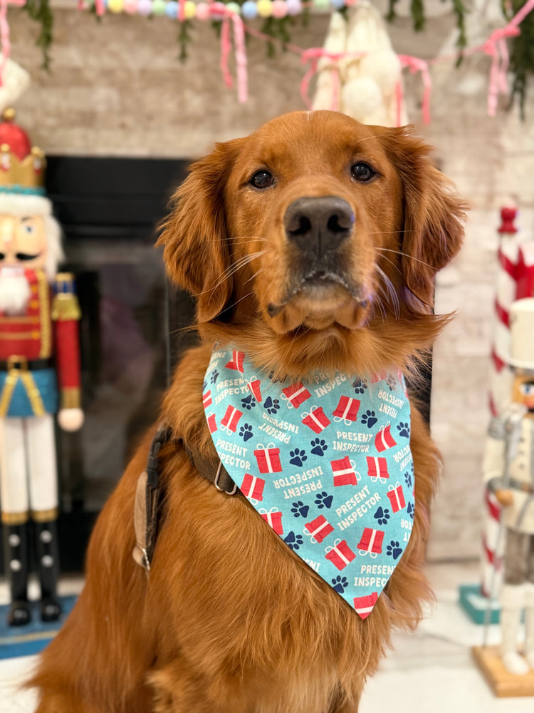 Present Inspector Bandana