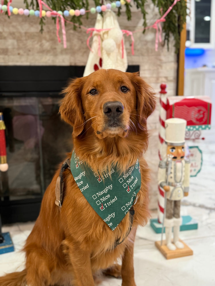 Santa’s List Bandana