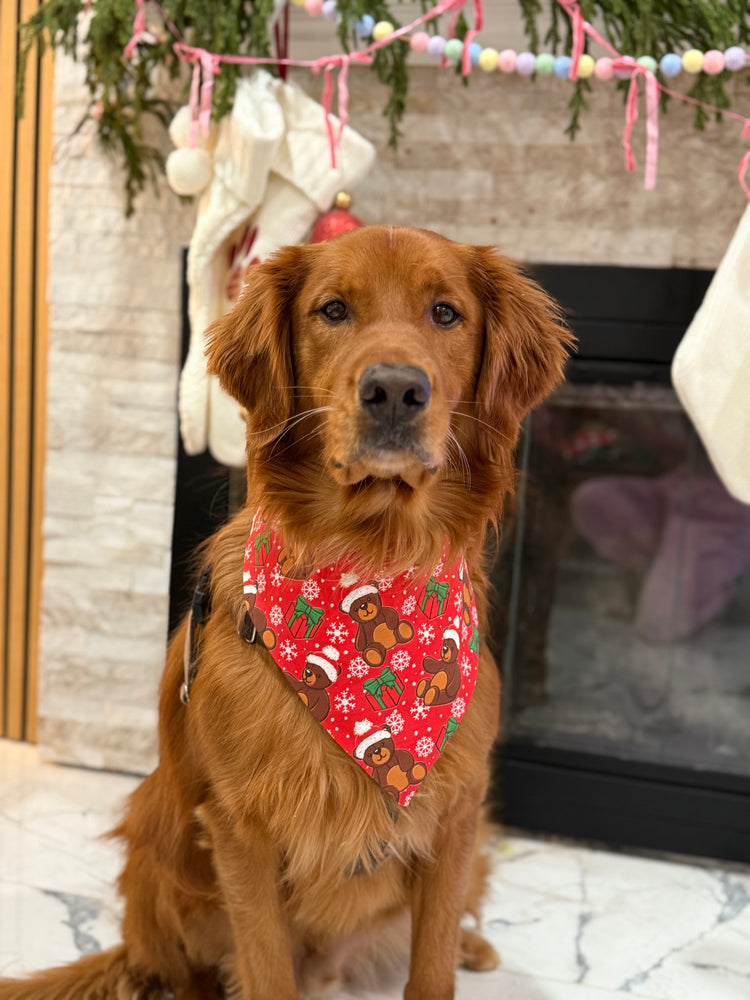 Christmas Teddies Bandana