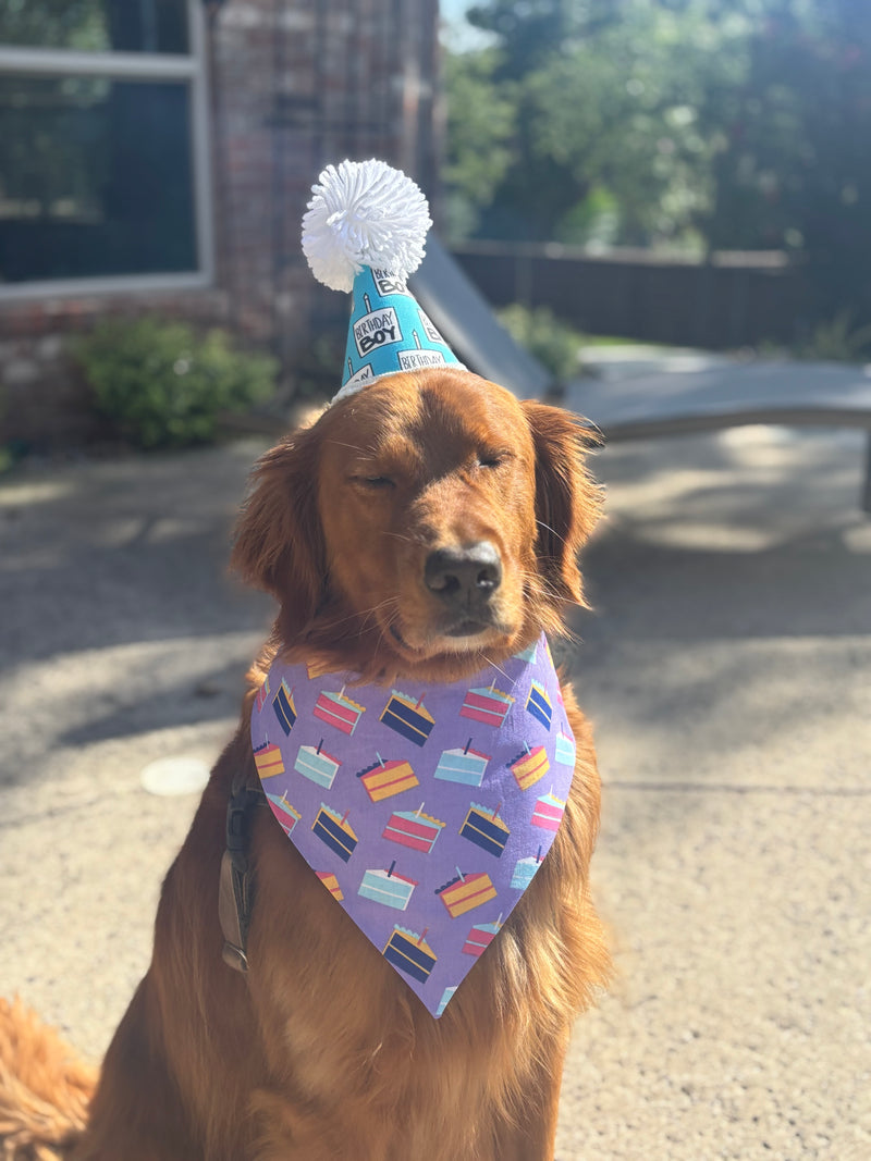 Birthday Cake Bandana
