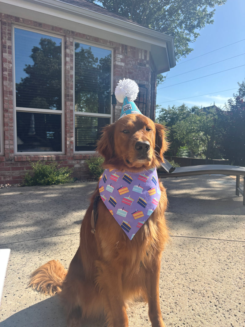 Birthday Cake Bandana