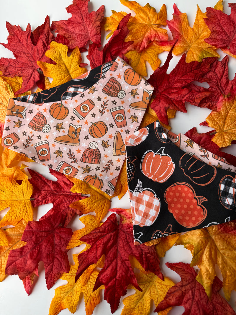 Basic Fall Bandana
