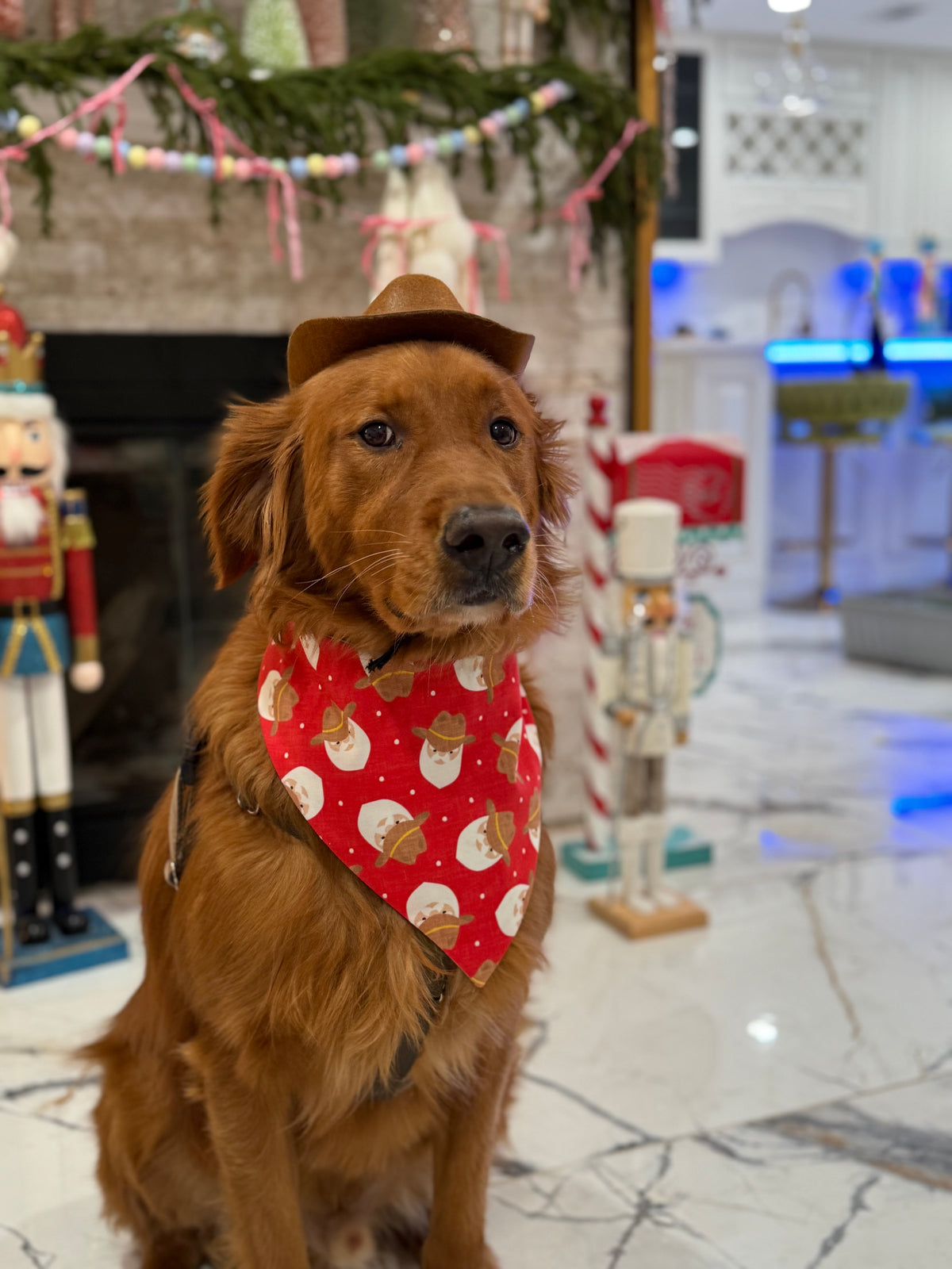 Western Santa Bandana