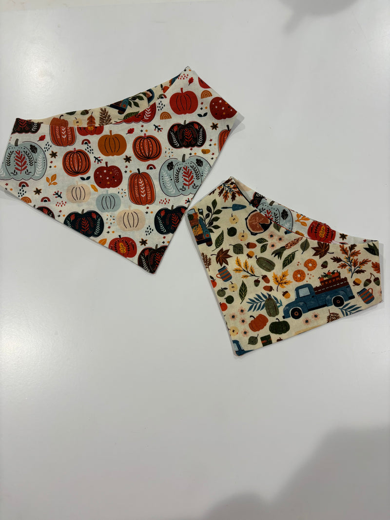 Pumpkin Truck Bandana