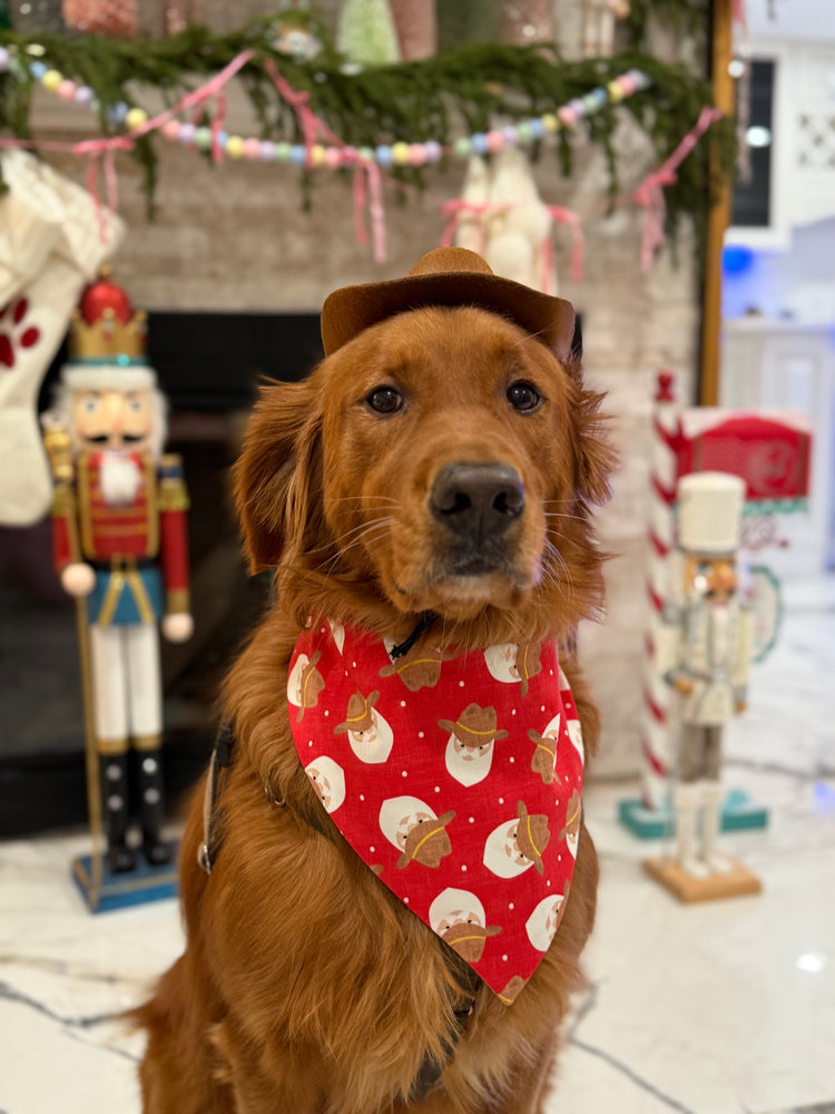 Western Santa Bandana