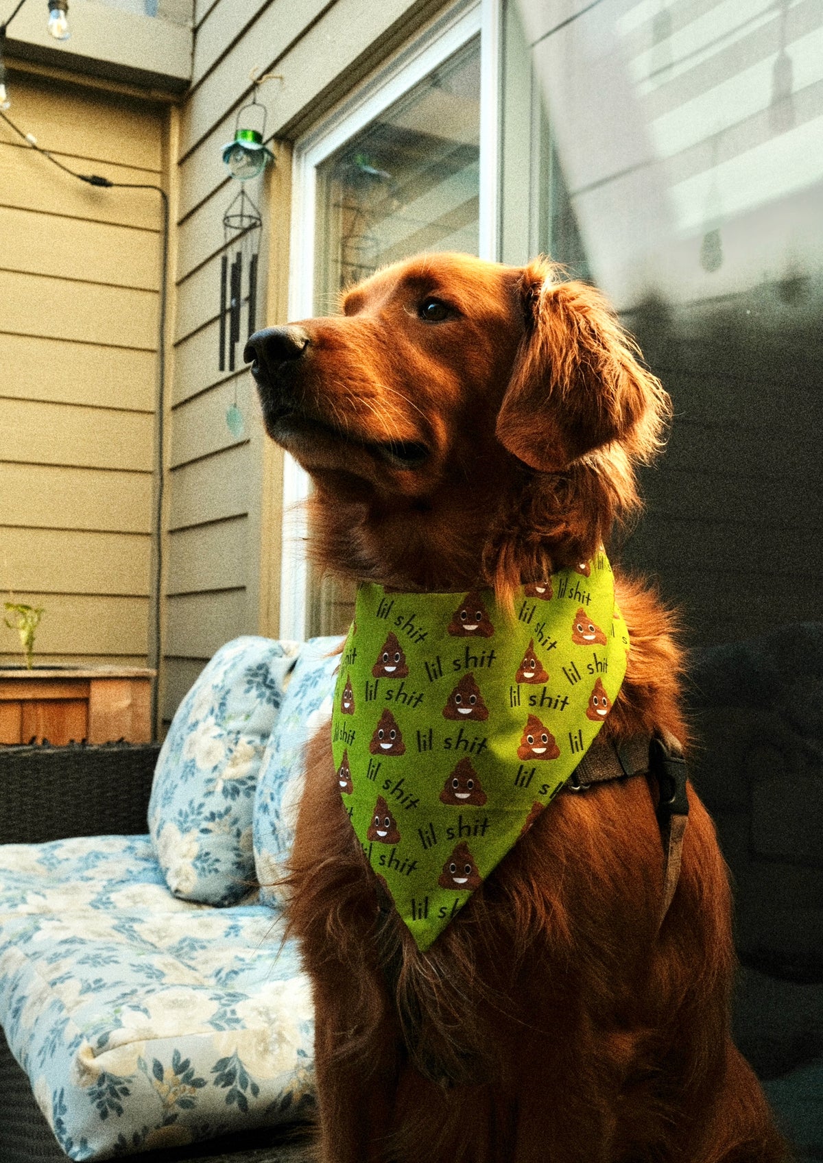 Lil Shit Bandana