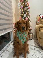 Winter Teddy Bandana