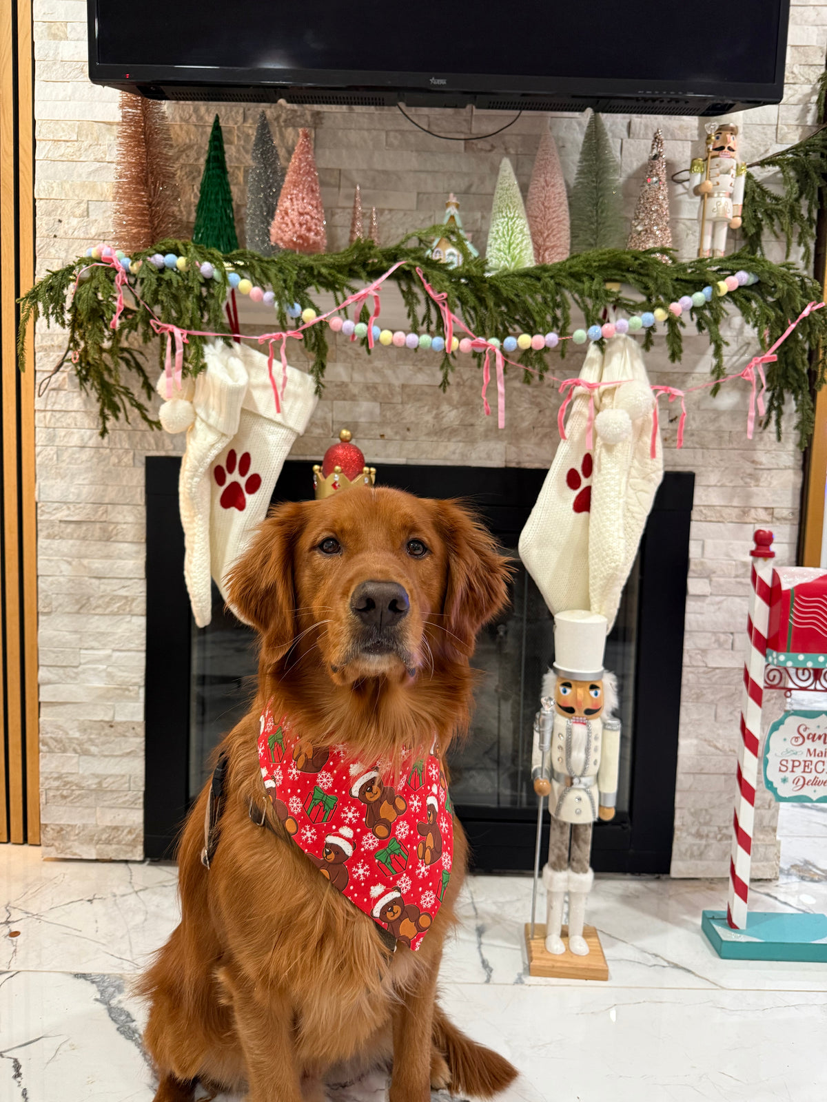 Christmas Teddies Bandana