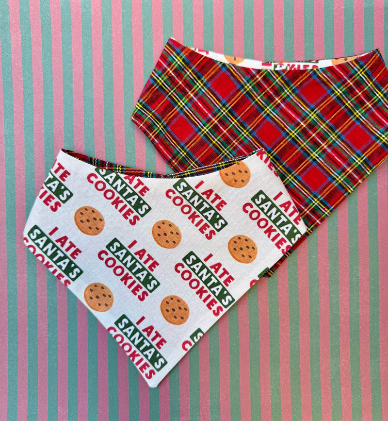 Cookie Monster Bandana