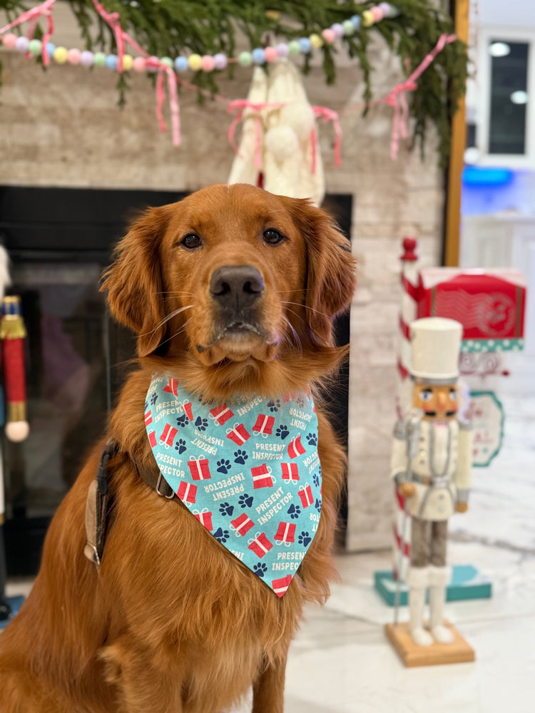 Present Inspector Bandana