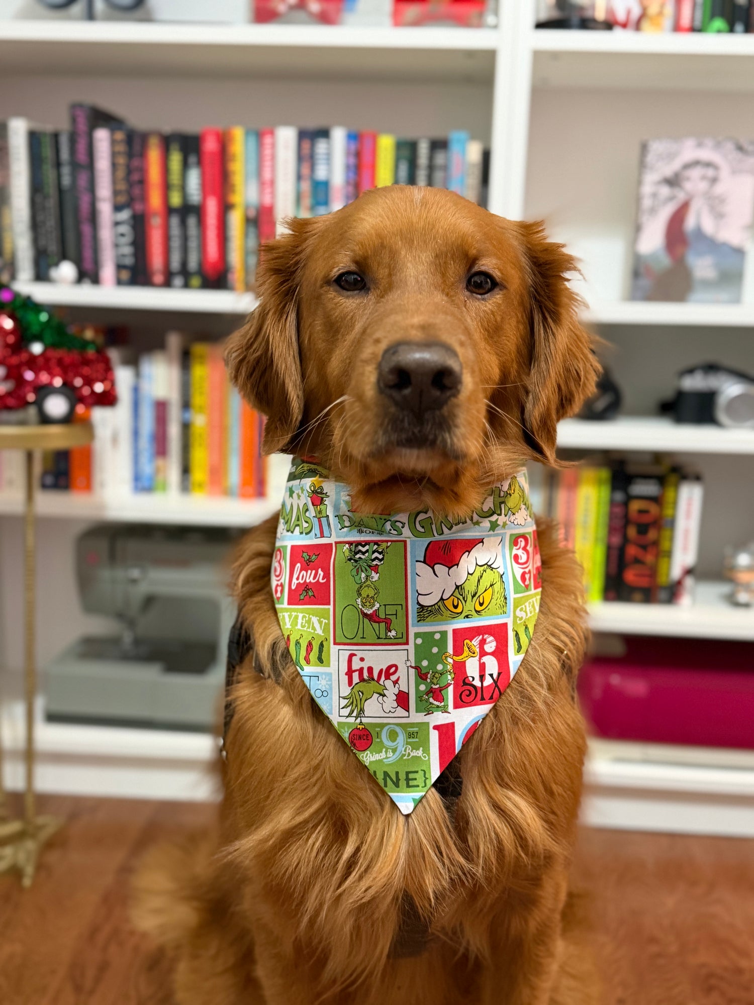 The Grinchmas Bandana