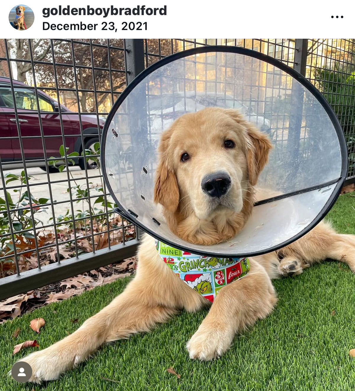 The Grinchmas Bandana