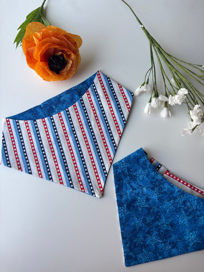 Red, White, and Cute Bandana
