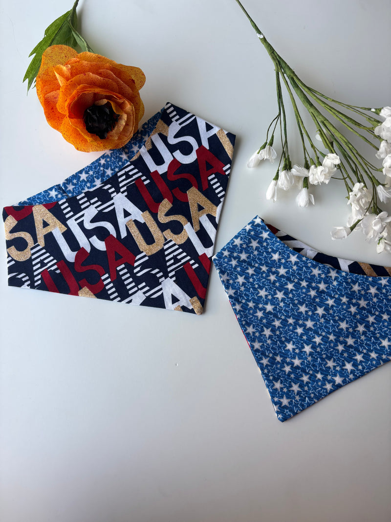 Born in the USA Bandana