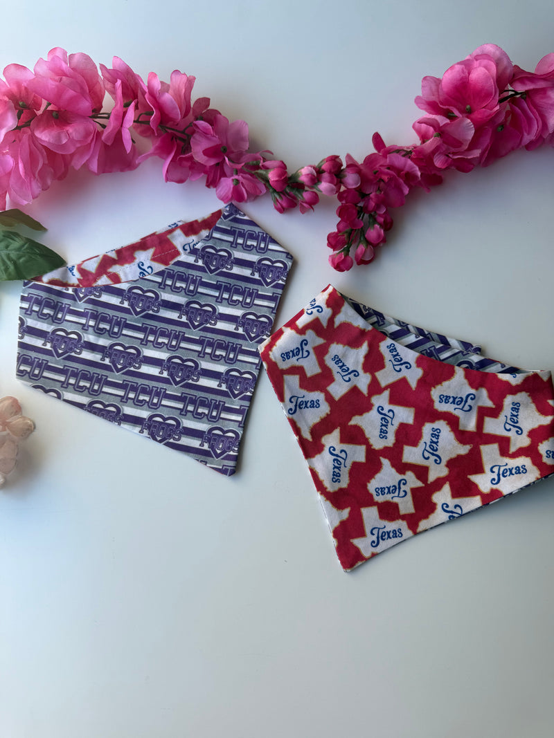 TX Frogs Bandana