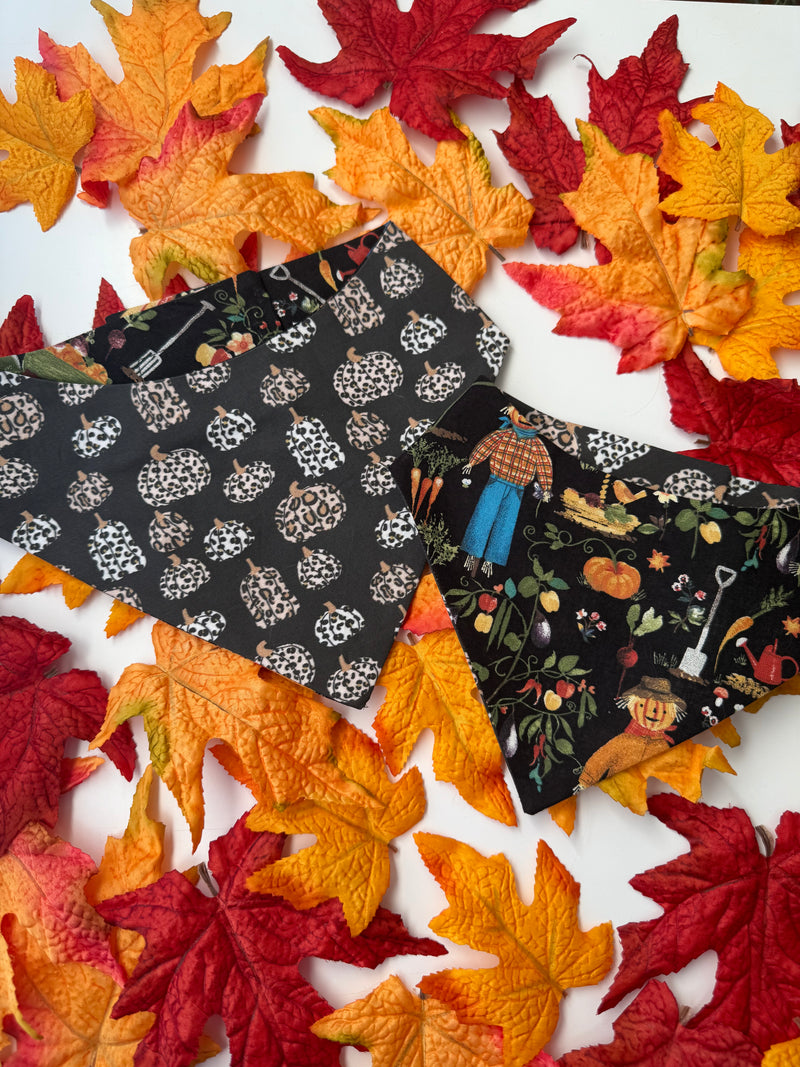 Leopard Pumpkins Bandana