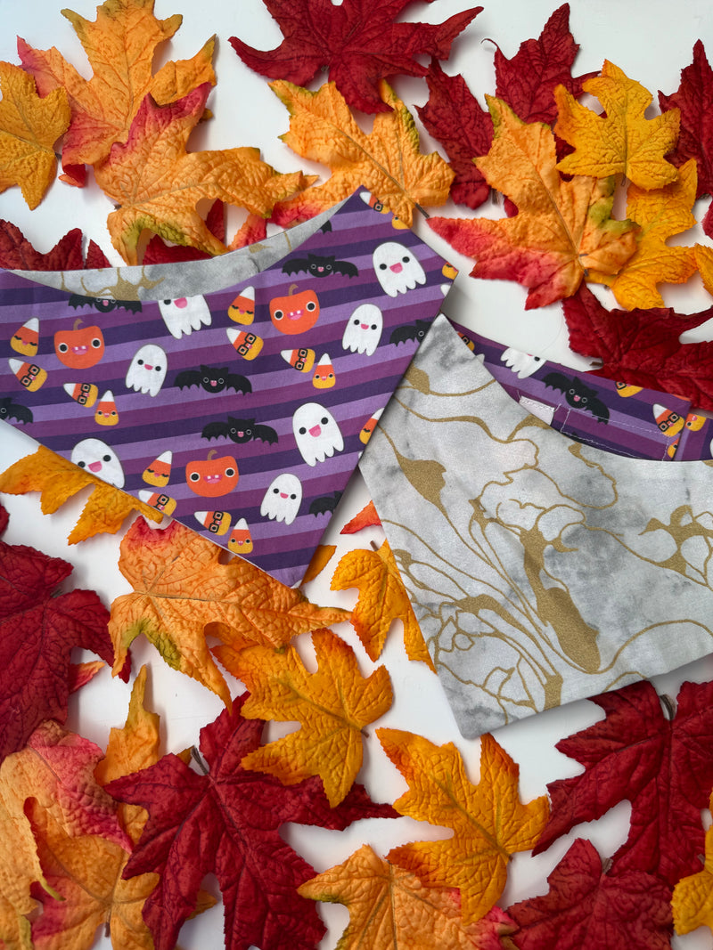 Halloween Candy Bandana