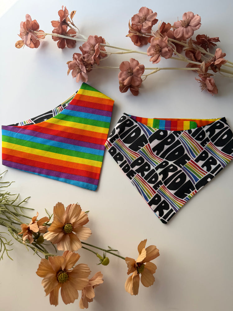 Pride Month Bandana