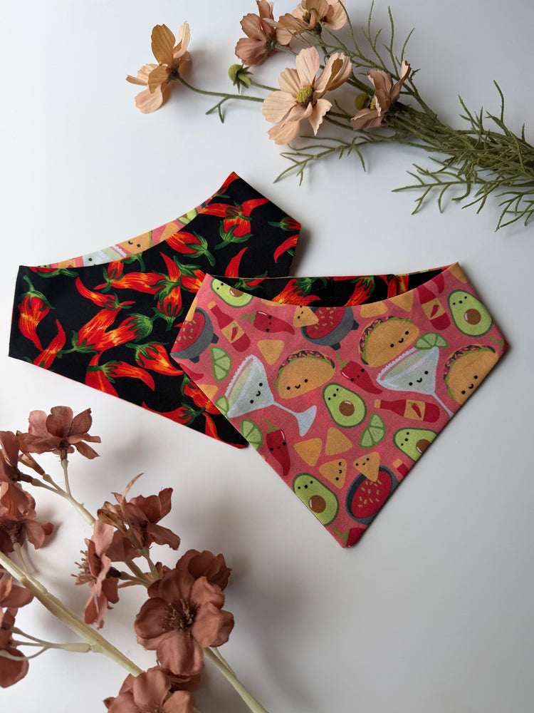 Tex Mex Bandana