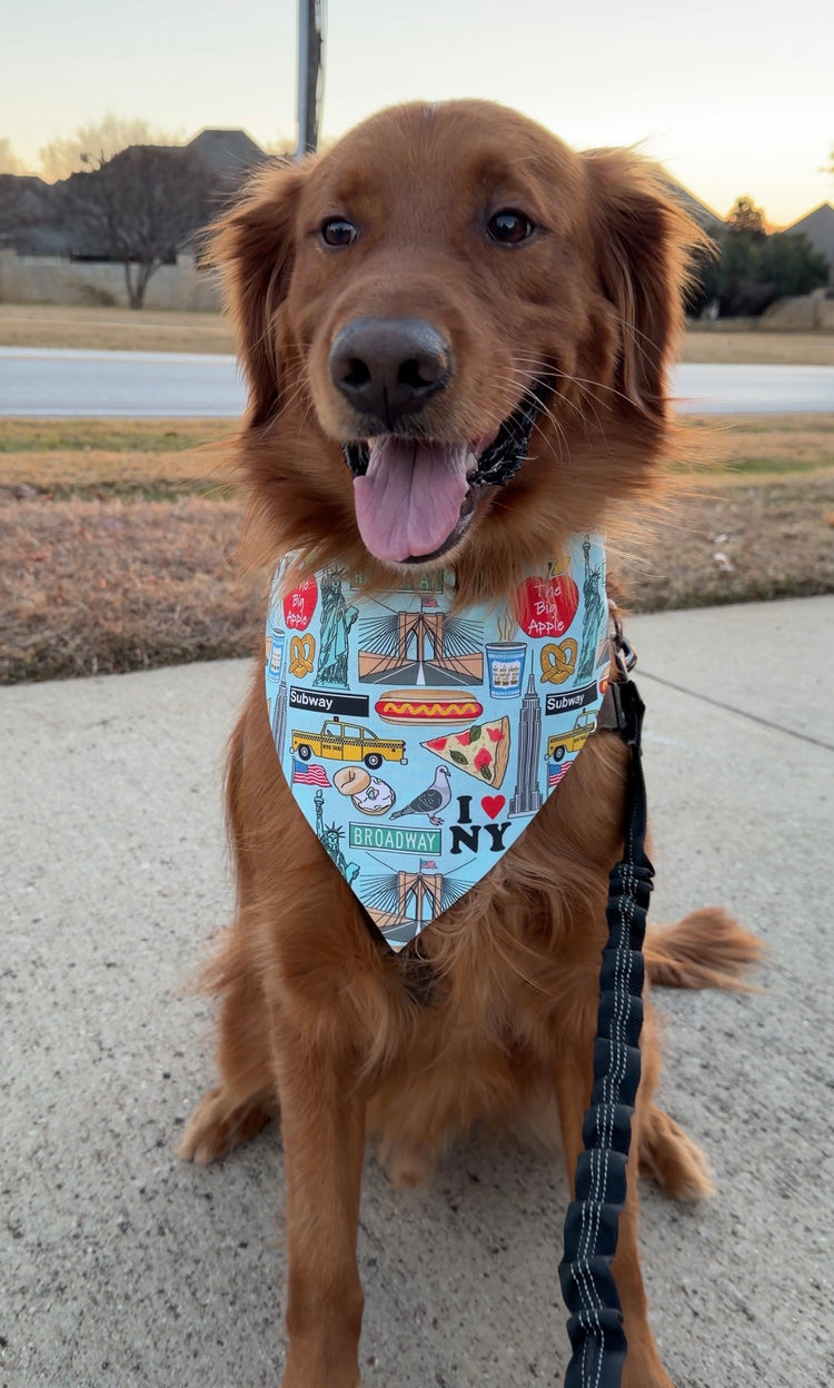 New York Bandana