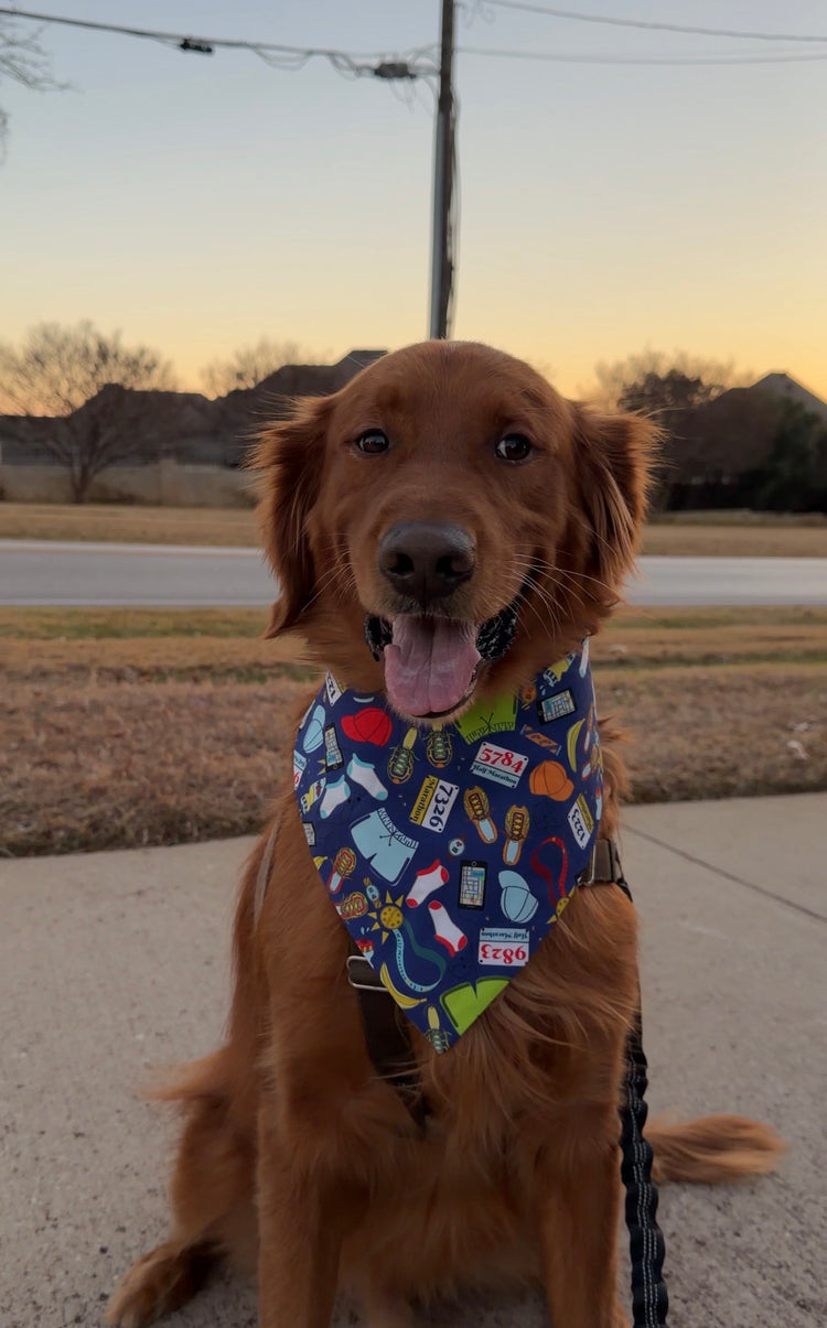 Marathoner Bandana
