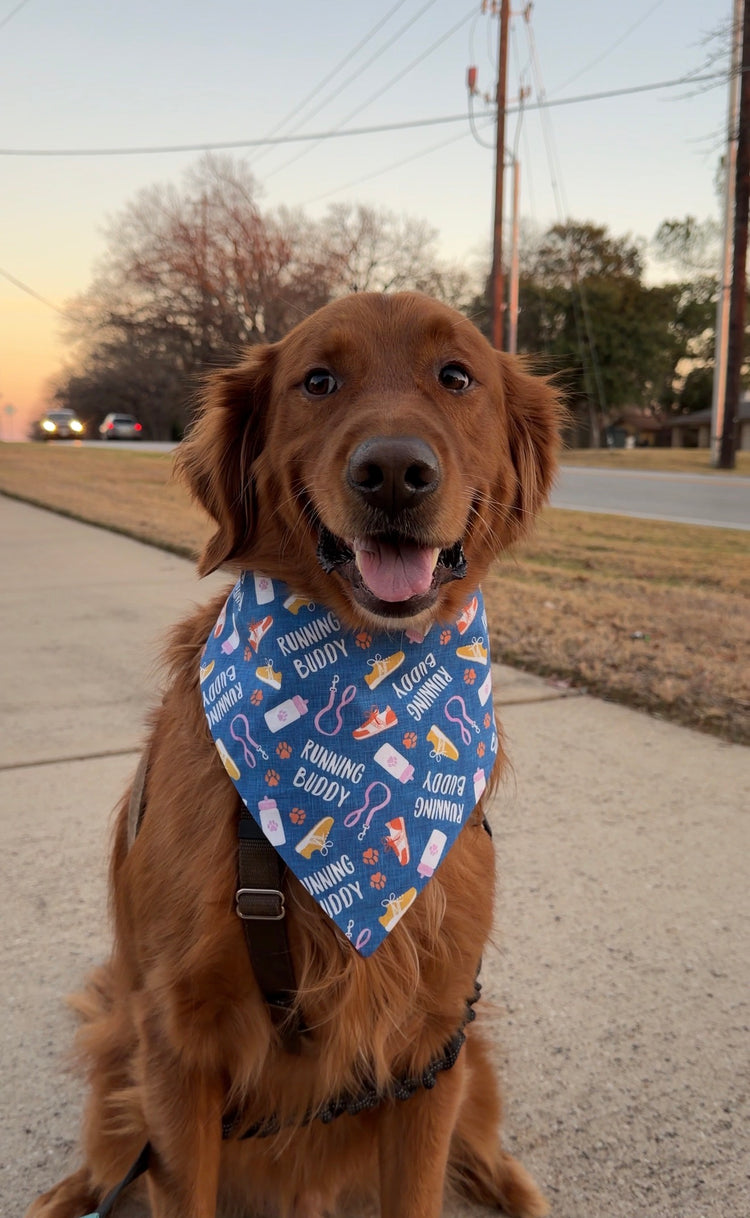 Running Buddy Bandana