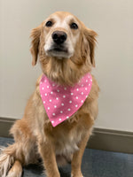 Breast Cancer Flannel Bandana