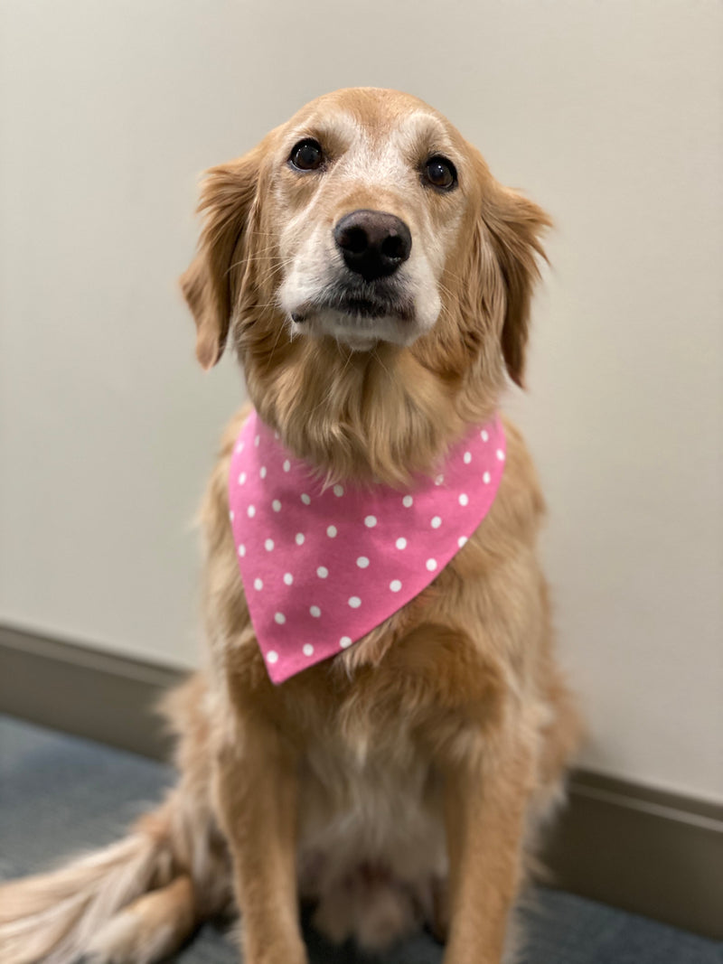 Breast Cancer Flannel Bandana