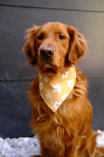 Flower Child Bandana