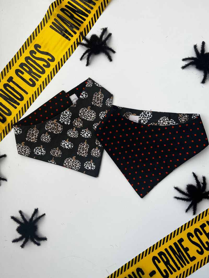 Black Leopard Pumpkins Bandana