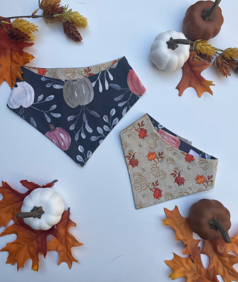 Watercolor Pumpkins Bandana