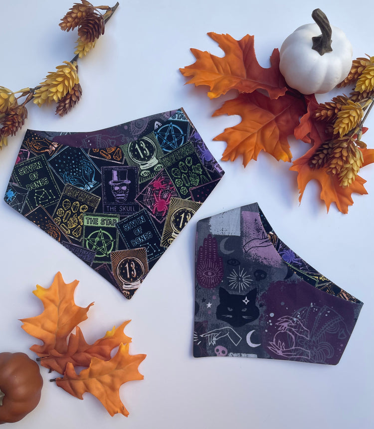 Baby Witch Bandana