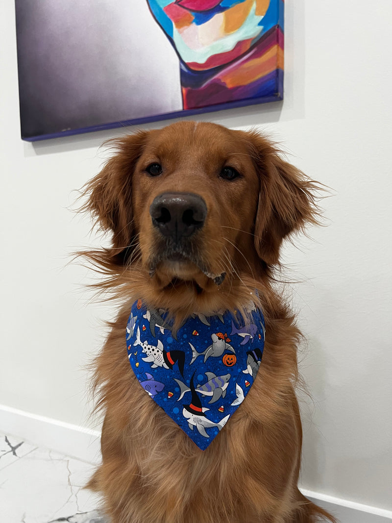 Trick or Treat Sharks Bandana