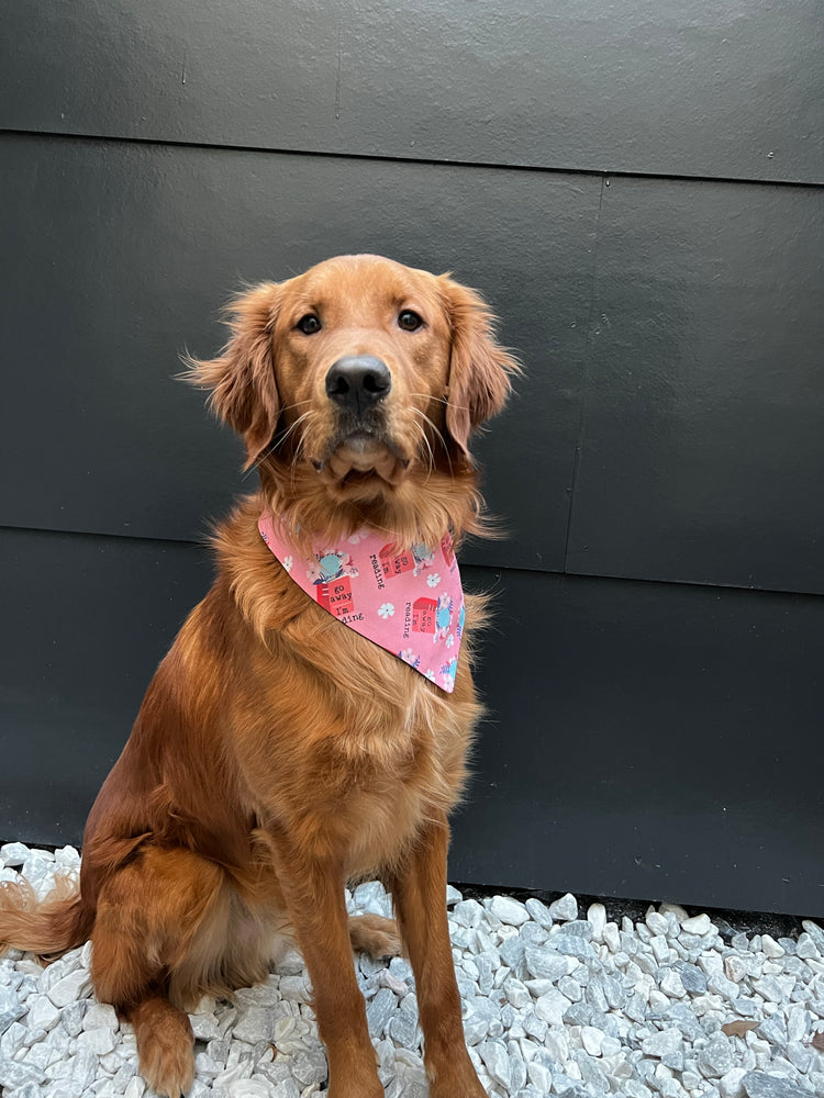 Go Away, I'm Reading! Bandana