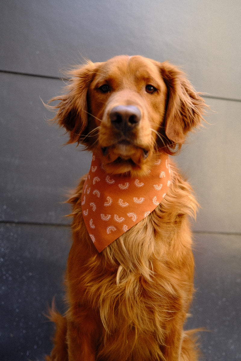 Coachella Bandana