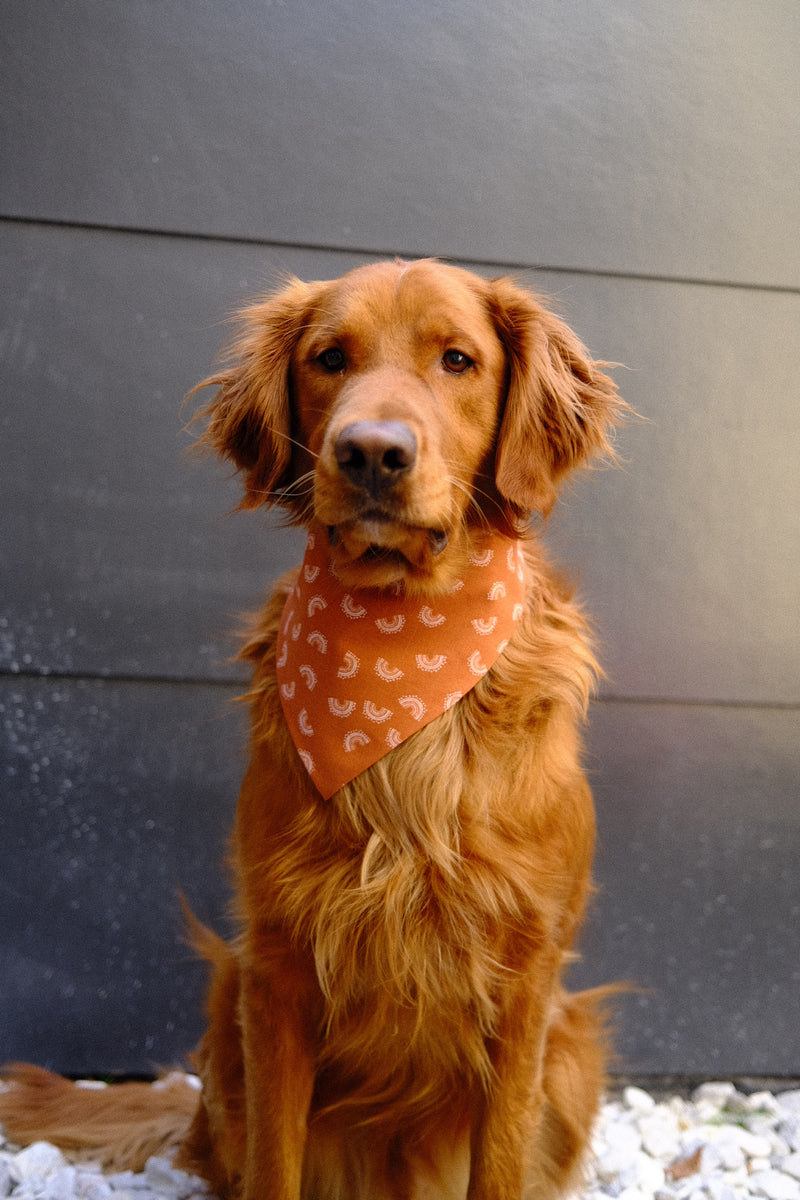 Coachella Bandana