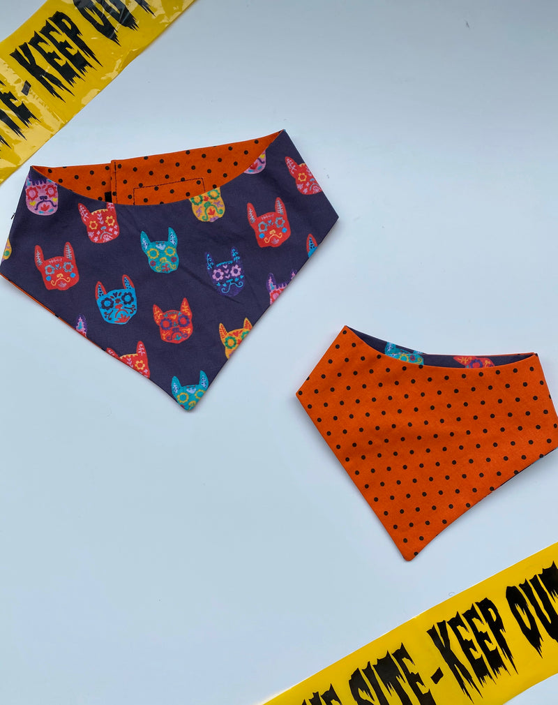 Frenchie Catrinas  Bandana