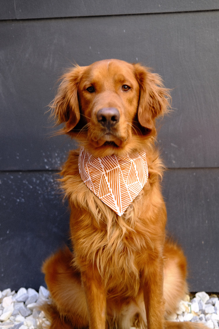ACL Festival Bandana