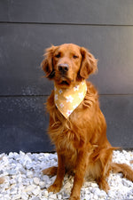 Flower Child Bandana