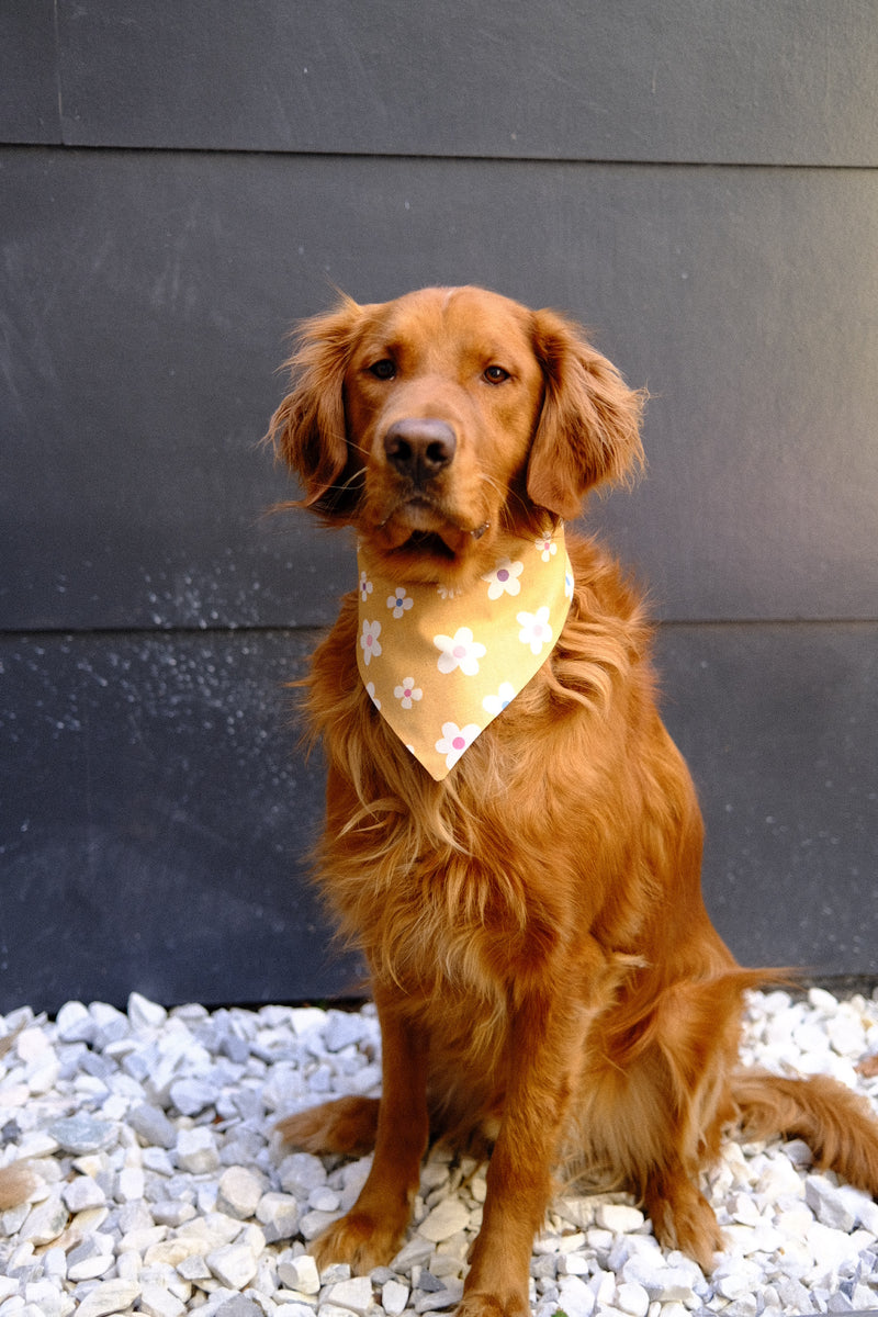 Flower Child Bandana